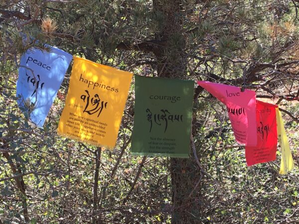 The current image has no alternative text. The file name is: img-2832-scaled.jpg